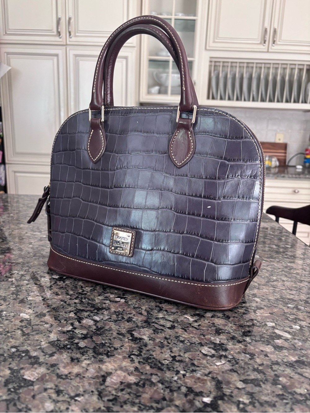 Dooney & Bourke Oakdale Zip Zip Satchel Navy and Brown